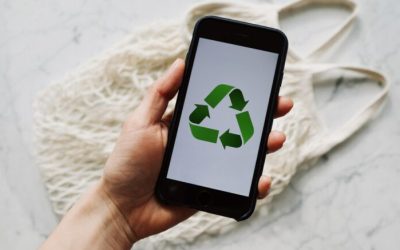 10 tips om groener te leven: makkelijk en besparend