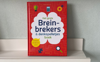 Hersengymnastiek: Het grote breinbrekers & denkspelletjes boek