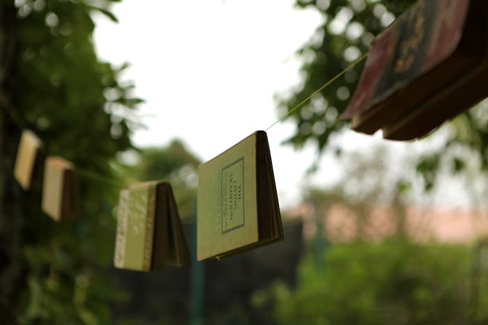 5x kinderboeken over duurzaamheid