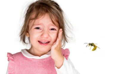 Je kind gestoken door een wesp? 9 tips wat te doen