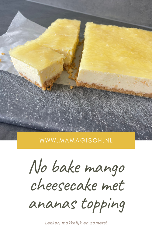 Pin afbeelding voor no back mango cheesecake recept