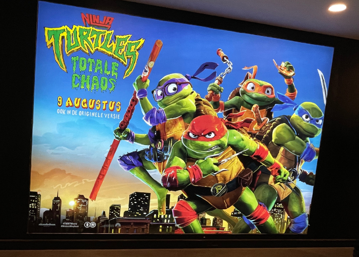 Ninja Turtles film poster