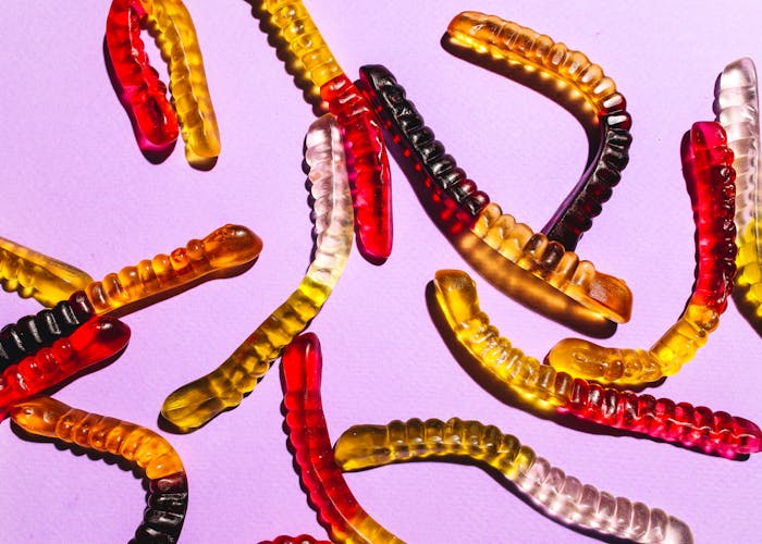 snoepwormen - illustratie bij de blog wormen bij kinderen en huisdieren