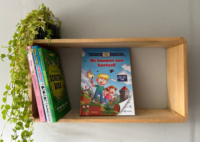 Minecraft boek voor beginnende lezers
