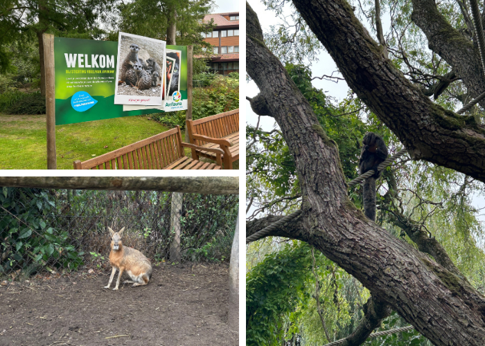 Dierenpark avifauna Alphen aan den Rijn