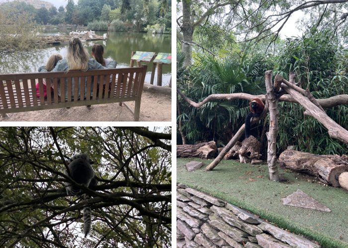 Apenverblijf Avifauna