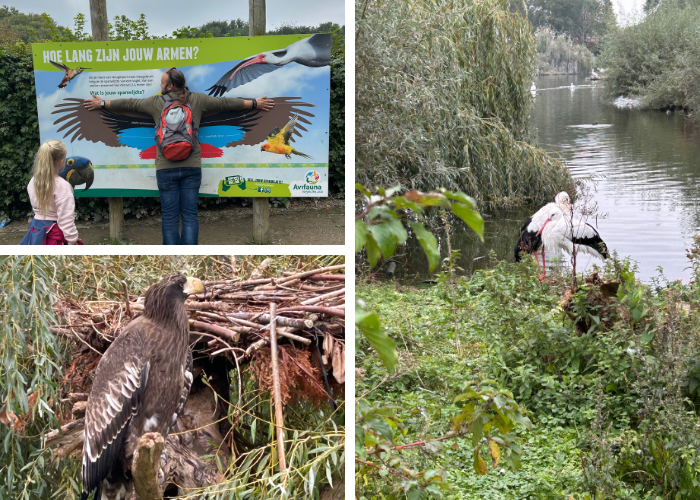 Omgeving Avifauna