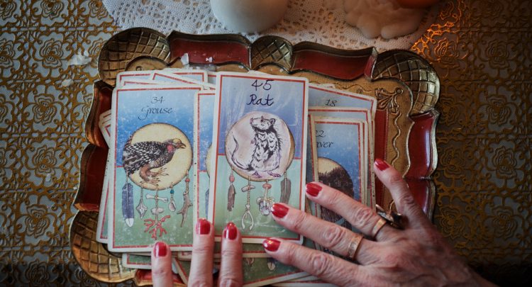 Het ratje de mens en de metro ZappDoc