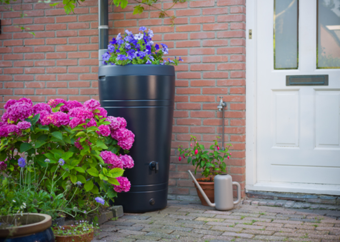Zo kies je de juiste maat regenton voor in de tuin