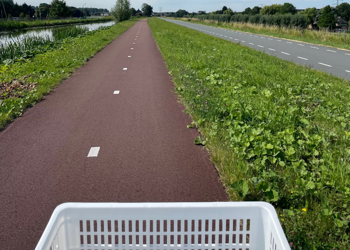 De eerste week van onze zomervakantie 2022