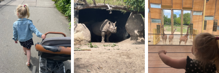 Dagje naar Diergaarde Blijdorp