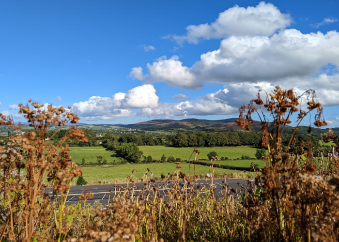 Onze zomervakantie – week 6