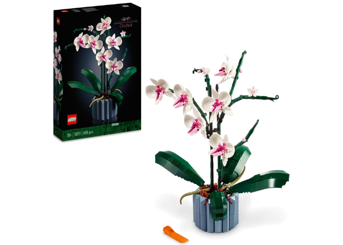 LEGO voor volwassenen