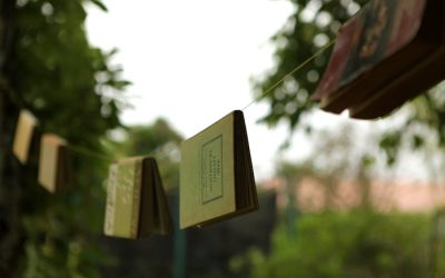 5x kinderboeken over duurzaamheid