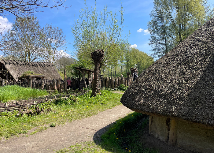 Overzichtsfoto van het preHistorisch Dorp in Eindhoven.