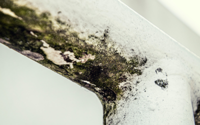 3 Tips: schimmel in huis verwijderen