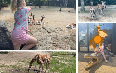 Zomervakantie on a budget: week 1