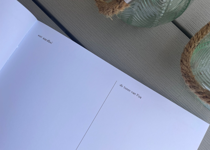 365 tekenopdrachten in het boek 'Een tekening per dag'.