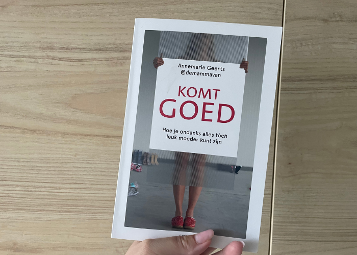 Gelezen: Komt goed – Annemarie Geerts