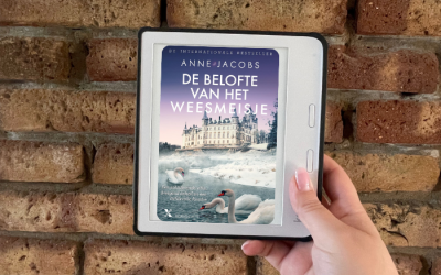 Gelezen: De belofte van het weesmeisje