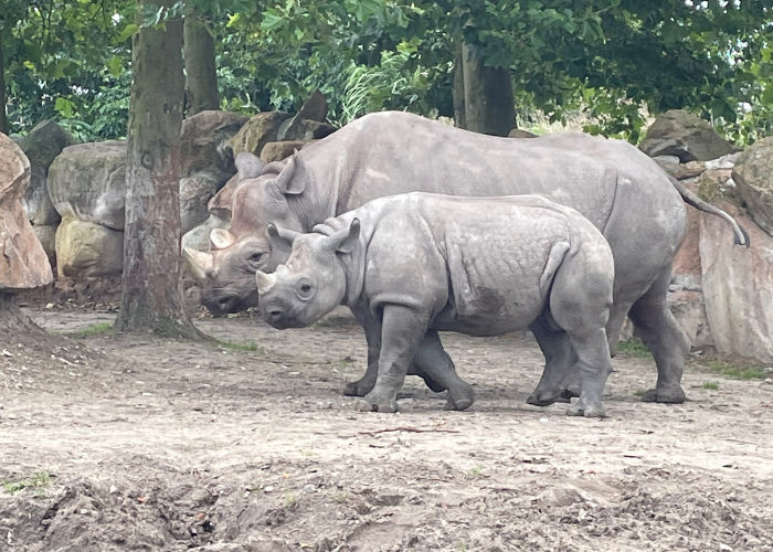 Abonnement op dierentuin