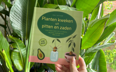 Duurzame moestuin: planten kweken uit zaden en pitten