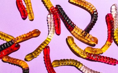 Wormen bij kinderen en huisdieren: dit kun je eraan doen