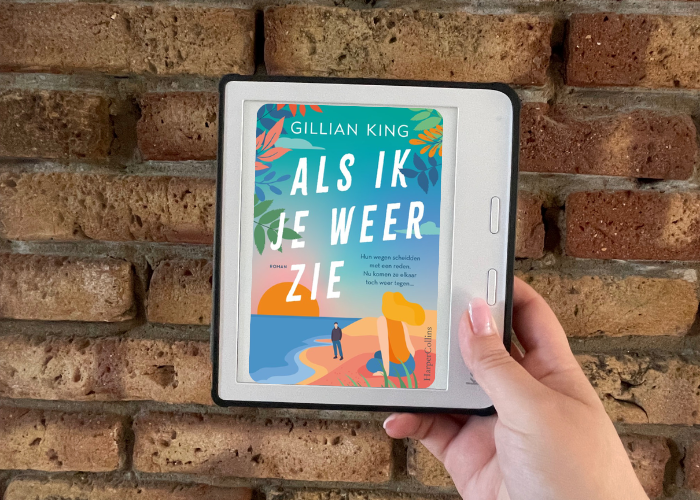 Luisterboek Als ik je weer zie van Gillian King