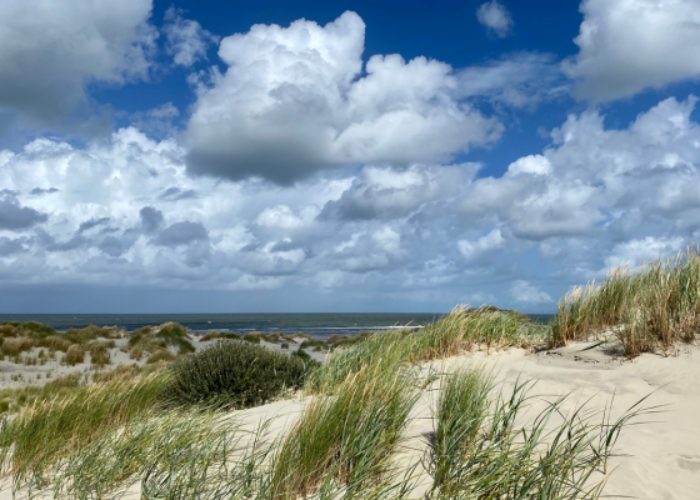 Strand vakantie Terschelling met het hele gezin.