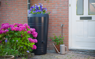 Zo kies je de juiste maat regenton voor in de tuin